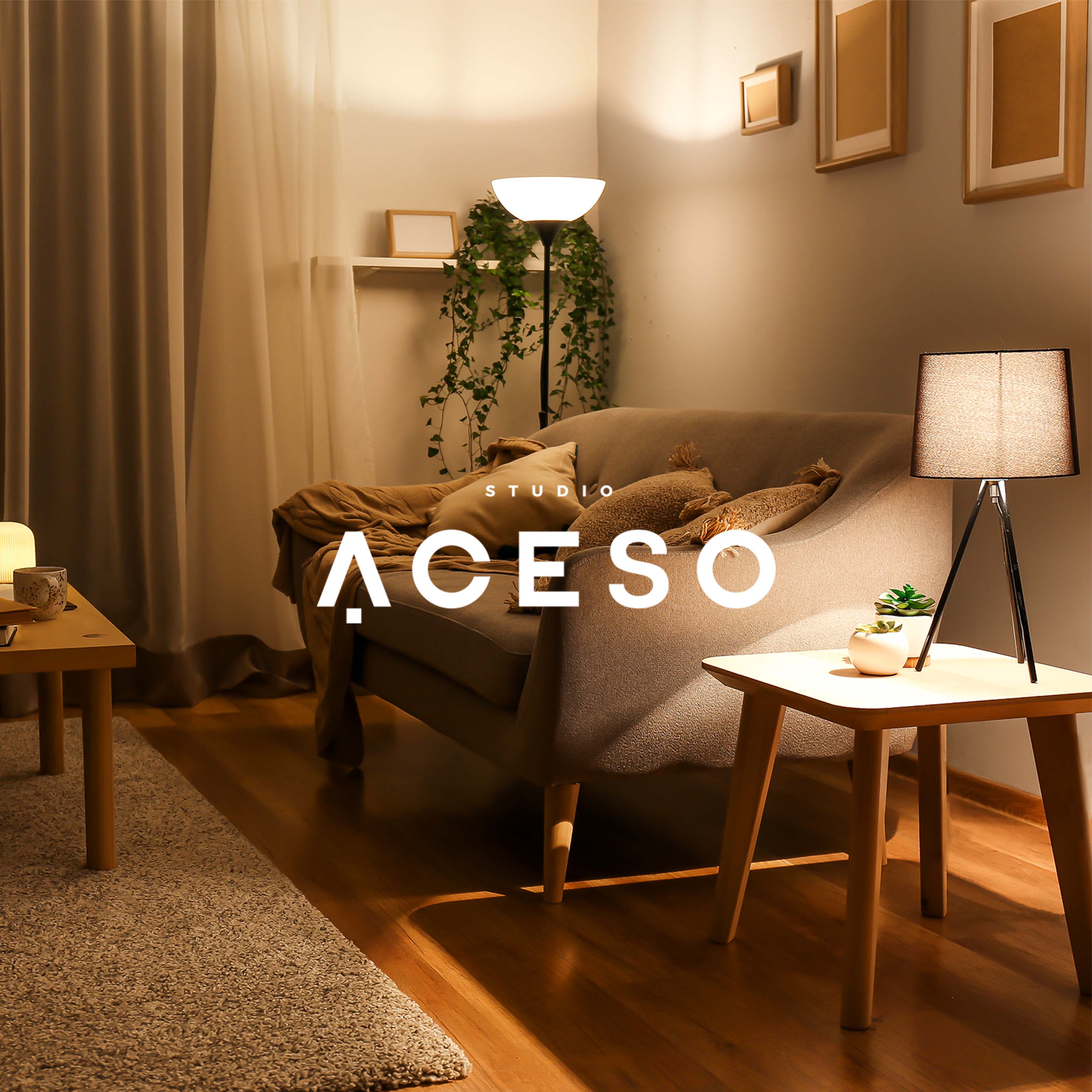 Studio Aceso 品牌设计