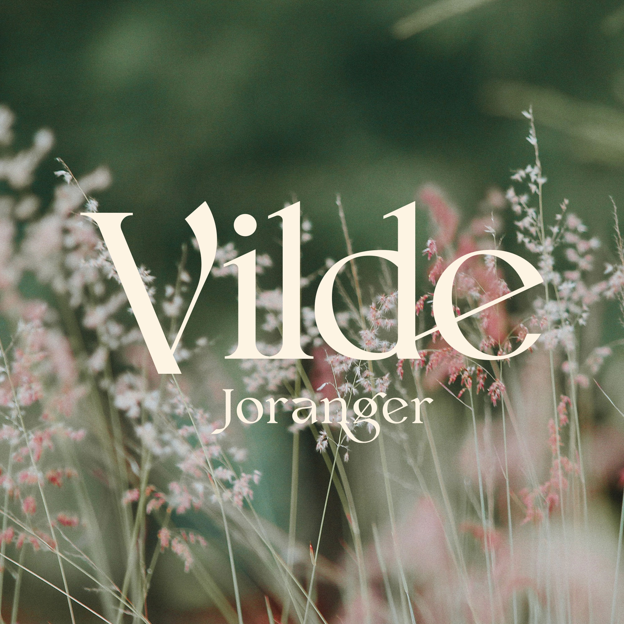 Vilde Joranger 品牌LOGO