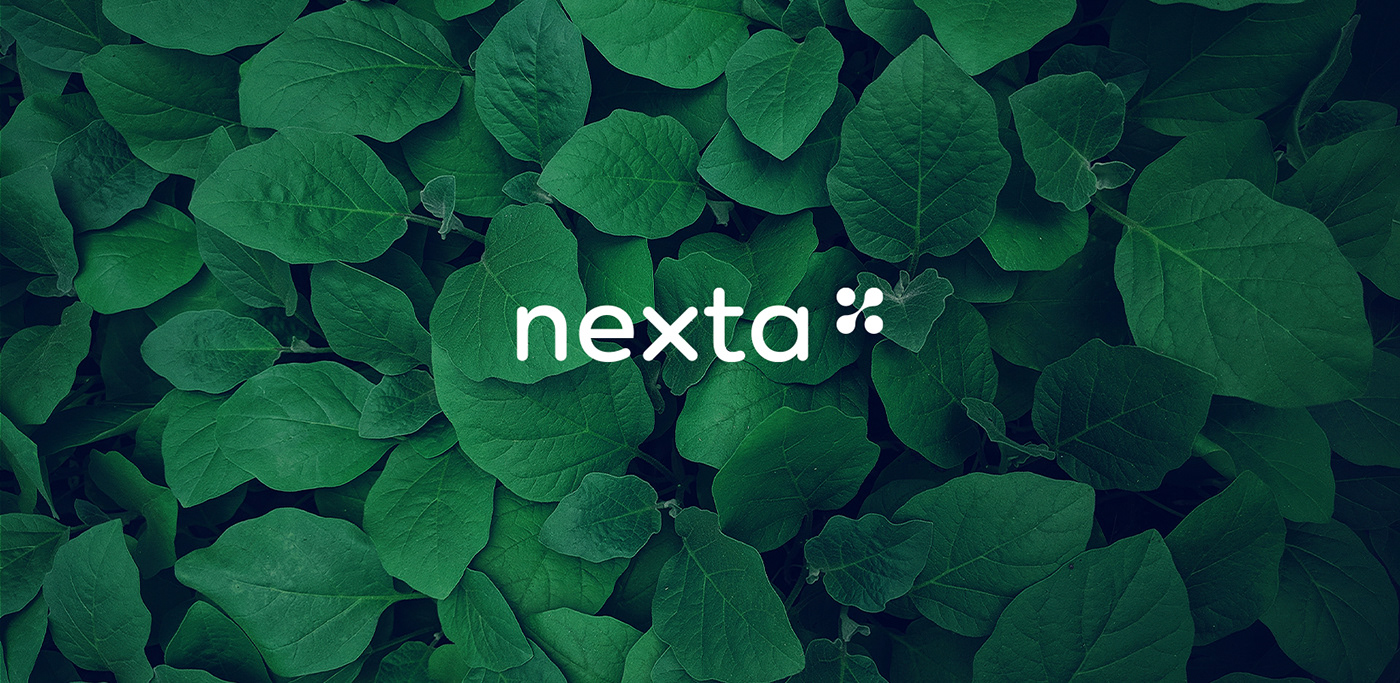 Nexta 品牌形象