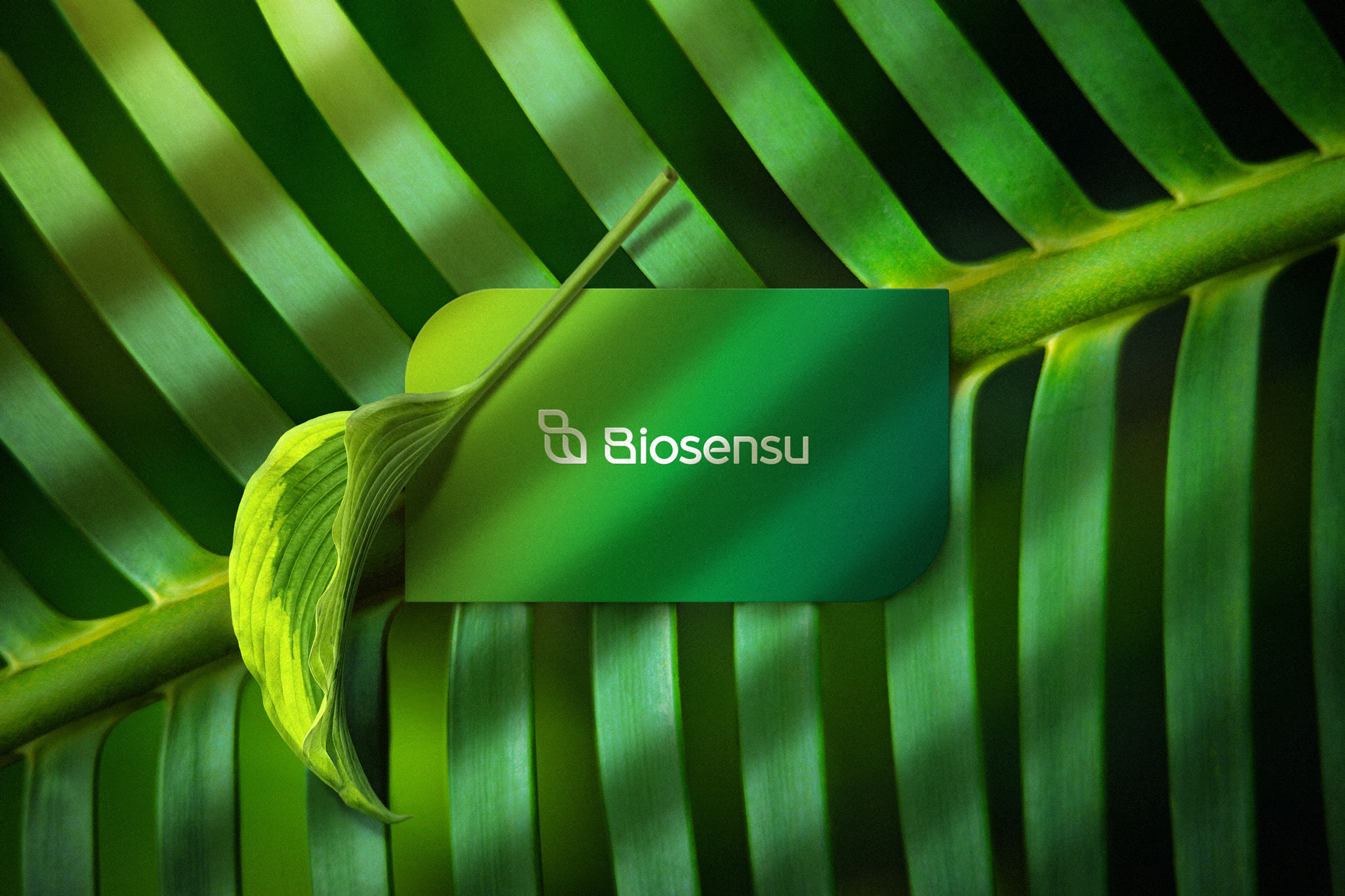 Biosensu 品牌形象